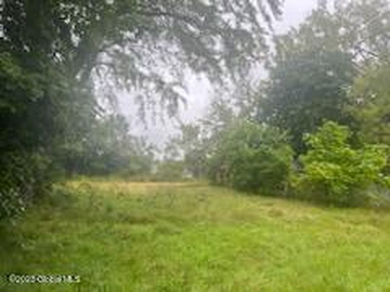3rd image of 135 Manor Avenue