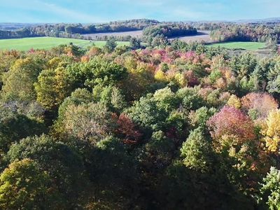 Lots # 4 & 5 Mead Lane, Middlebury, VT, 05753
