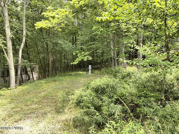 3rd image of 119 Locust Lake Dr