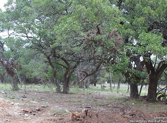 5th image of 102 Cuero