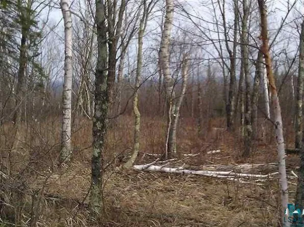 708 Forest Heights Rd, Knife River, MN 55609