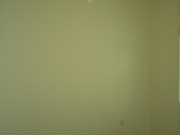 4th image of 536 W Corte Planga