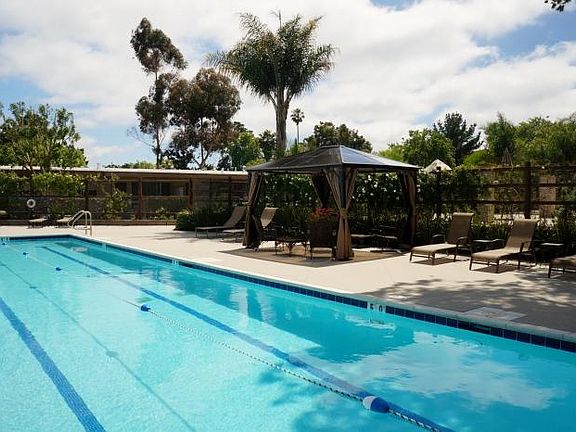 Salt Water Pool and Spa