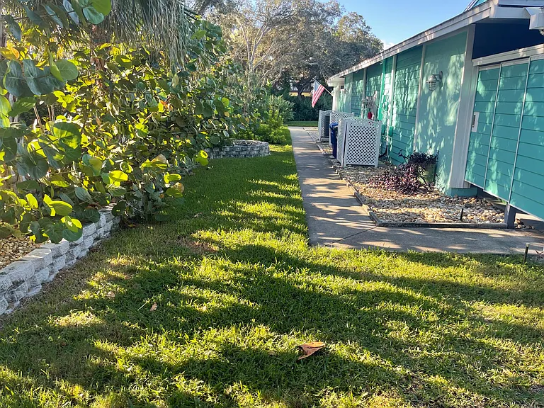 Side of yard w/ possible small pond area