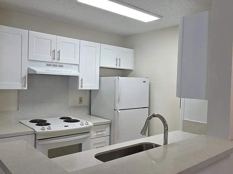 Renovated Kitchen with New Cabinets and Quartz Countertops