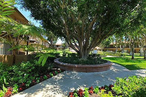 2901 E Yorba Linda Blvd — Photo 12