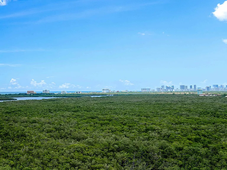 Panoramic view of lush green landscapes