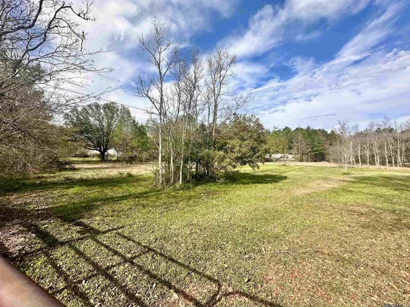 29208 S Satsuma Rd, Livingston, LA 70754