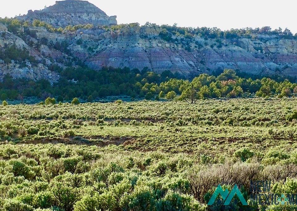 Highway 595, Lindrith, NM 87029 MLS 20236057 Zillow