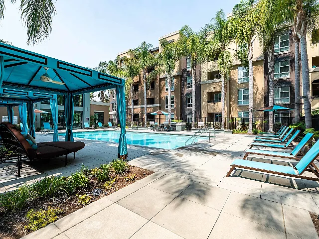 Calypso Apartments and Lofts — Photo 28