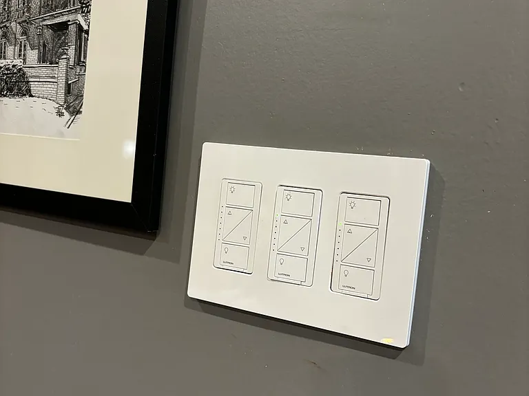 Lutron smart switches, voice/mobile controlled.