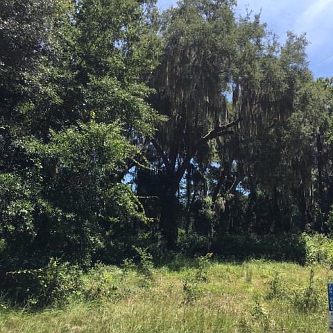 2nd image of PARCEL 1 Osprey Ct