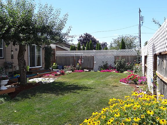 back yard