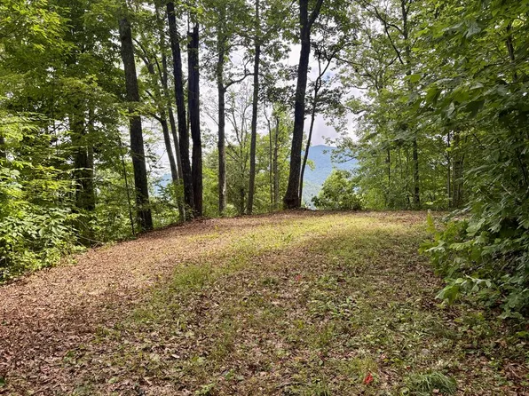 0 High Knob Dr, Bryson City, NC 28713