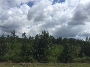 0 Willis Foreman Rd., Hehpzhibah, GA 30815