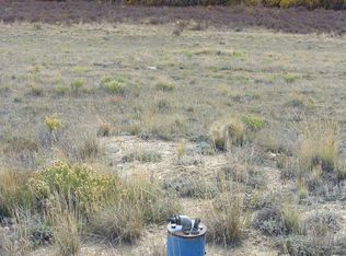 196 Bluestem, Fairplay, CO 80440