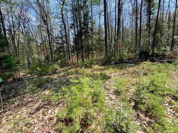 3826 Leighton Hill Road, Newbury, VT 05081