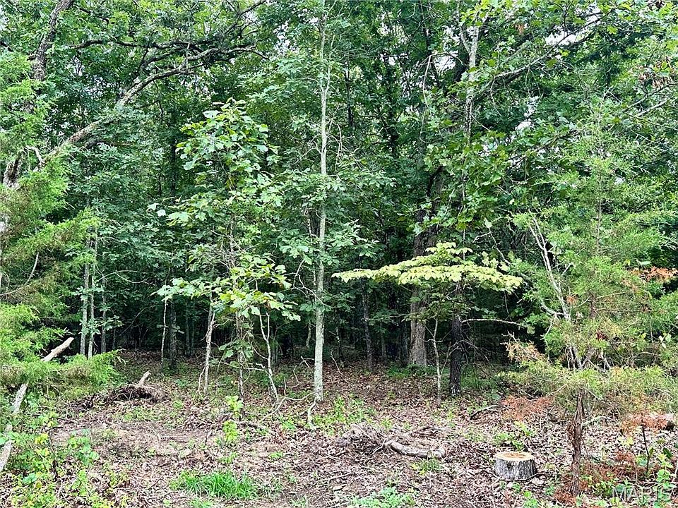 2nd image of 0 County Road 4180 Lot 5