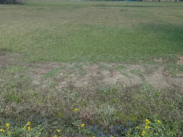 LOT 14 Roy St, Plattenville, LA 70393