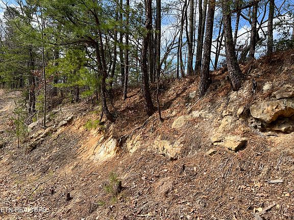 3rd image of Chestnut Ridge Ct