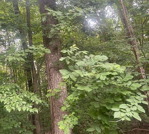 4th image of 0 Butner Rd