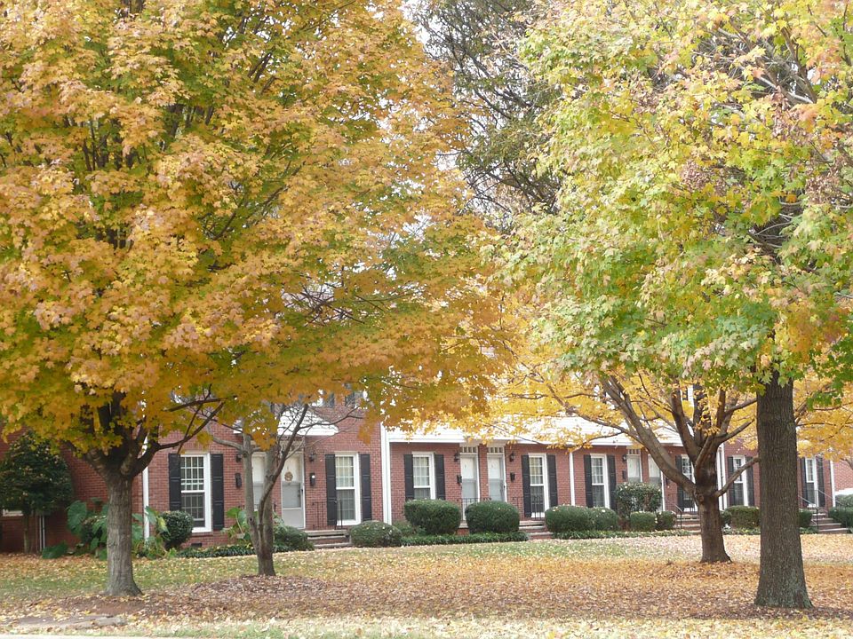 Spacious Courtyards with Mature Landscaping