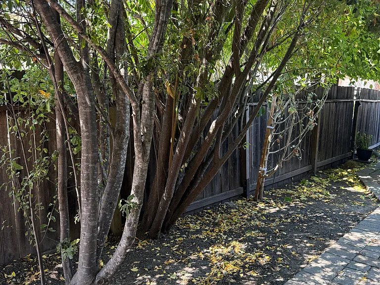 Private walkway