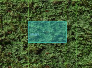 Commonwealth Ave N, Polk City, FL 33868