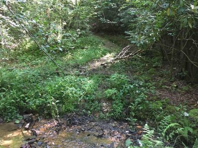 0 Kaleb Trl, Mineral Bluff, GA, 30559