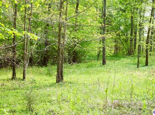 10051 Hammonsville Rd, Magnolia, KY 42757