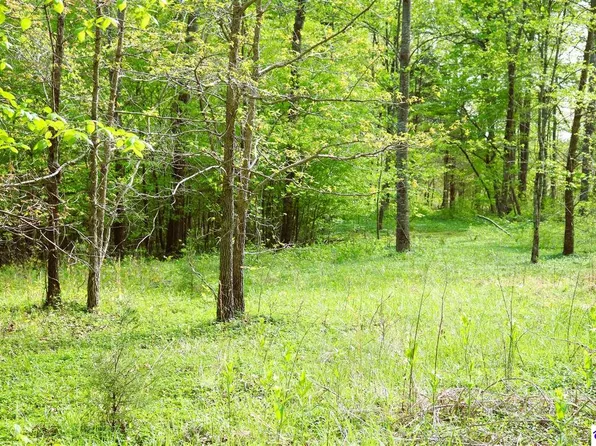 10051 Hammonsville Rd, Magnolia, KY 42757