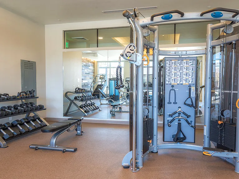 Fitness center with advanced strength training equipment and mirrors.