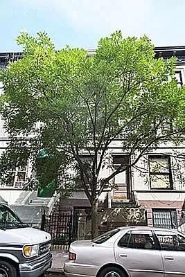 Rented by Perry Associates NYC Inc | media 4