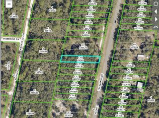 0 Treiman Blvd, Webster, FL 33597