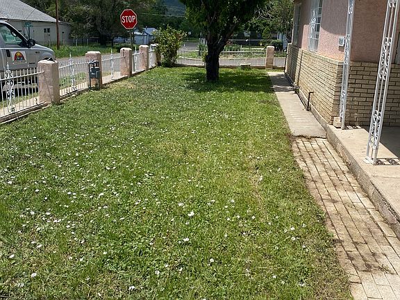 Front fenced yard with fruit tree