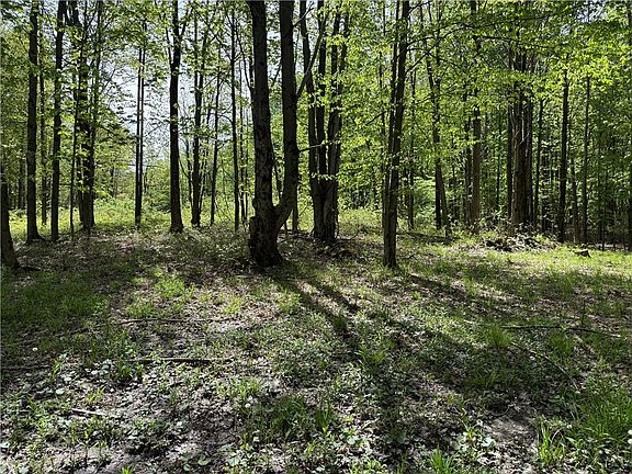 5th image of 16 Deer Pond Access Lot 43