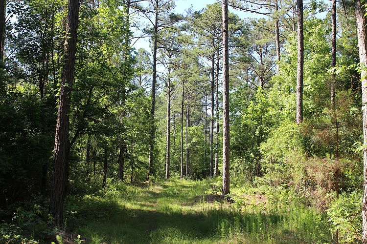 1st image of 0 Hayes Mill Rd