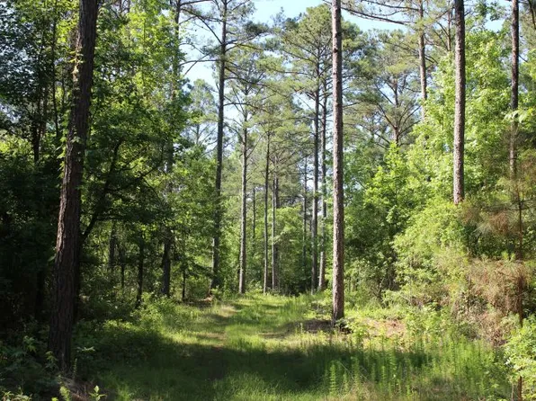 0 Hayes Mill Rd, Notasulga, AL 36866