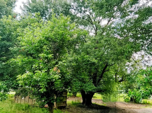 651 Manor Dr, La Grange, KY 40031