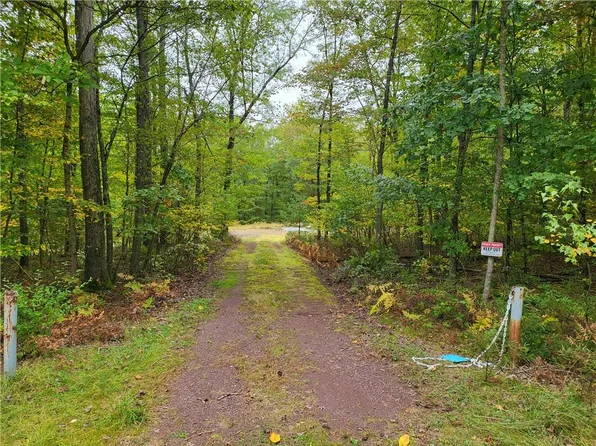 Cushetunk Drive, Narrowsburg, NY 12764