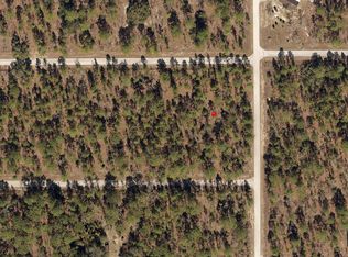 Yyy Nw Geranium Ave, Ocala, FL 34472