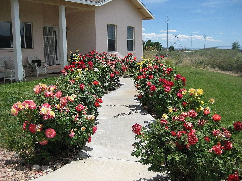 Front walkway