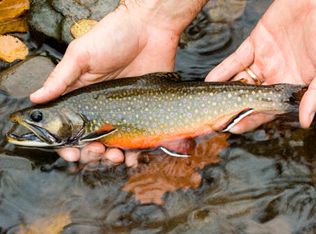 Sloop Rd, East jordan, MI 49727