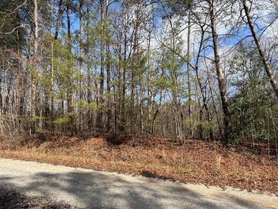 8 Hummingbird Ln, Ellijay, GA, 30540