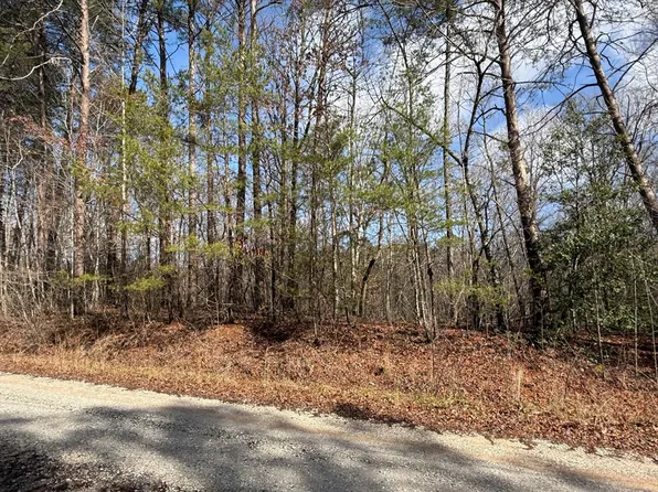 8 Hummingbird Ln, Ellijay, GA 30540