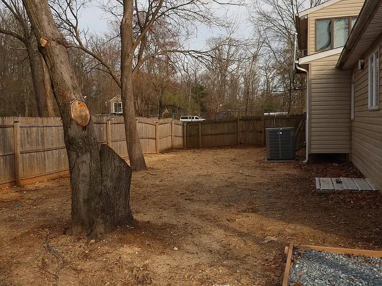 Back yard