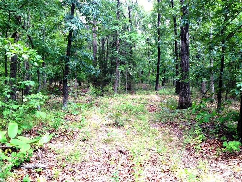 2nd image of S Archie Watkins Rd