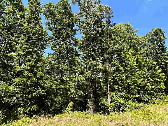 4th image of 0 Budd Creek Rd
