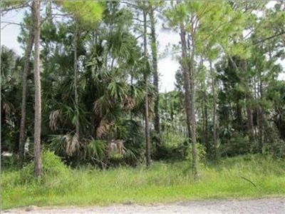 E Chichasaw Ln, Port Saint Joe, FL, 32456