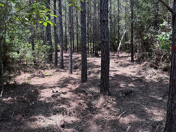 4th image of 15785 Woodlife Rd